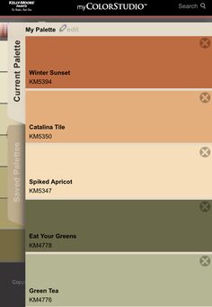 the colorstudio app is open and showing it's palettes for each color