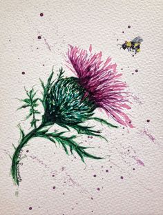 a drawing of a thistle flower and a bee