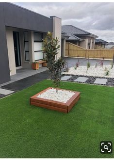 a small tree in the middle of a lawn with rocks and grass around it, next to a house