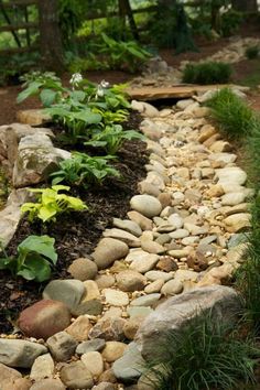 a garden with rocks and plants in it