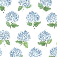 blue hydrangea flowers with green leaves on a white background seamless wallpaper