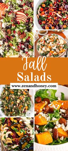 Fall Salad Recipes – These insanely flavorful and colorful fall salad recipes with seasonal flavors will quickly become your new favorite fall dinner option for a family! Butternut squash, apples, pears, sweet potato, cranberries, pumpkin and more fall salad ingredients to make the most of harvest season. Healthy fall dinner, fall dinner recipes, healthy fall salads, healthy fall salad recipes, cheap salad recipes, cheap dinner recipes, potluck recipes, potluck side dishes, healthy side salad. Salad As A Meal Main Dishes, Easy Fall Salad Ideas, Fall Healthy Lunch Ideas, Healthy Fall Lunch Recipes, Quick Potluck Recipes, Cheap Salad Recipes, Large Salads For A Crowd, Fall Salads Recipes, Healthy Fall Salad Recipes