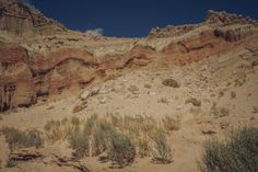 some very pretty rocks and plants in the desert