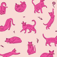 pink cats are depicted on a light pink background