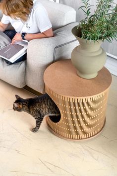 a cat standing in front of a couch next to a table with a plant on it