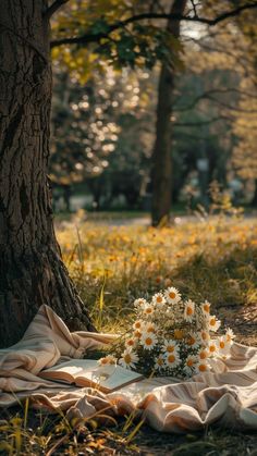 a bouquet of daisies on a blanket under a tree