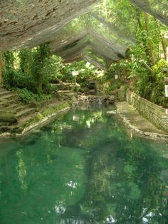 an outdoor swimming pool surrounded by trees and water features stone steps leading up to it