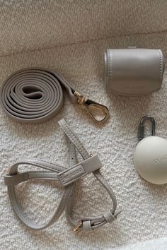 the contents of a white purse laid out on a carpeted floor next to it's accessories