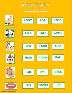 parts of the body worksheet with pictures and words to help kids learn how to use