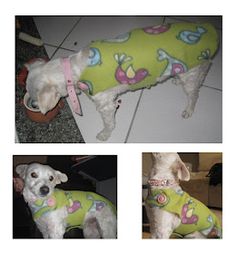 three pictures of a white dog wearing a green shirt with pink flowers on it, and two photos of the same dog