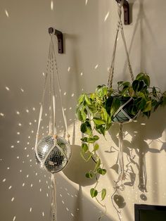 some plants are hanging from hooks on the wall