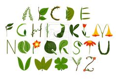 the letters and numbers are made up of green leaves, flowers, and other things