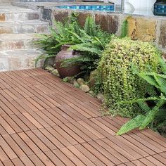 some plants are growing on the side of a wooden deck near a brick wall and steps