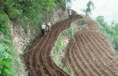 two men are plowing the land with horses on a hill side road that has been cut down