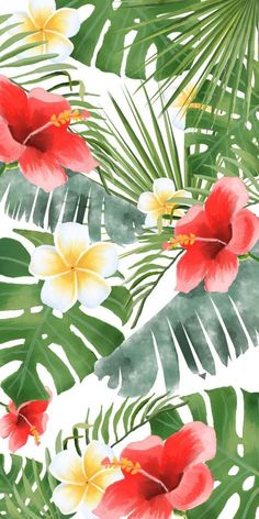 tropical flowers and palm leaves on a white background