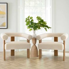 a table with two chairs and a plant in it