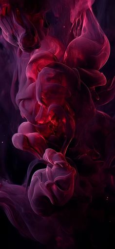 Deep Magenta Aesthetic, Purple Cherry Blossom Wallpaper, Pink Dark Feminine Aesthetic, Red And Purple Aesthetic Wallpaper, Plum Aesthetic Wallpaper, Deep Purple Aesthetic Wallpaper, Burgundy Iphone Wallpaper, Red Violet Aesthetic, Magenta Wallpaper Iphone