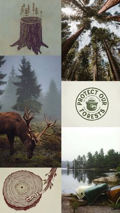 there are four different pictures with trees and animals in the same photo, one is an elk