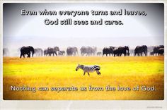 a herd of elephants and zebras walking across a field with the words, even when everyone turns and leaves, god still sees and cares