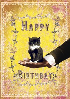 a hand holding a small kitten on top of a yellow background with the words happy birthday