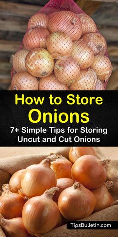 onions and onions in bags with the title how to store onions 7 simple tips for storing uncut and cut onions