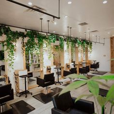 an indoor salon with plants growing on the walls