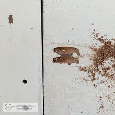 some brown stuff is on the side of a white door with peeling paint and rust