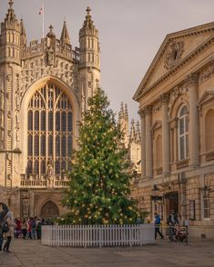 a christmas tree in front of a large building