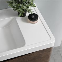 a bathroom sink with a plant on the counter