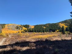 a dirt road in the middle of a field with trees and yellow leaves on it