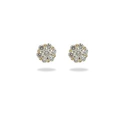 Fall in love with these exquisite Flower 14K Yellow Gold Diamond Stud Earrings. Set in 14K yellow gold and featuring 14 diamonds totaling 0.75 ctw., these earrings will add an elegant sparkle to any look. Be inspired and captivated by their classic yet dazzling design! The perfect gift. Jewelry Style : Earrings Jewelry Style : Diamond Stud Metal Type : 14K Yellow Diamond Shape : Round Brilliant Cut Diamond Weight : 0.75 ctw Diamond Quantity : 14 round white diamonds Diamond Color : I-J Diamond Clarity : SI1-SI2 Elegant Cluster Diamond Earrings In 14k Gold, Elegant 14k Gold Cluster Diamond Earrings, Formal Yellow Gold Flower Earrings With Diamond Accents, Classic Diamond Flower Earrings With Brilliant Cut, Diamond Flower Earrings With Brilliant Cut For Anniversary, Brilliant Cut Diamond Flower Earrings For Anniversary, Classic Diamond Flower Earrings For Anniversary, Yellow Gold Cluster Earrings With Brilliant Cut, Brilliant Cut Cluster Earrings In Yellow Gold