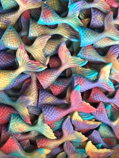 many different colored fish are shown together