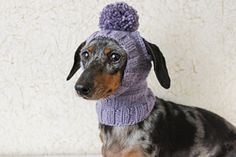 a dachshund wearing a knitted hat and scarf sitting on the floor