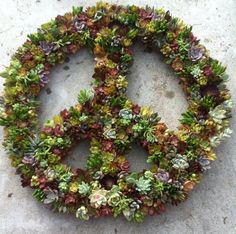 a peace sign made out of succulents on the ground