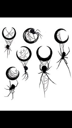 black and white drawings of spider webs