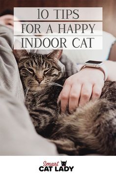 a person petting a cat with the caption 10 tips for a happy indoor cat