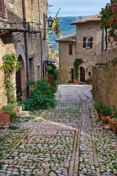 an old cobblestone street with potted plants on either side