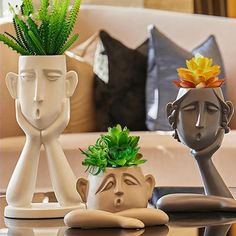 three ceramic pots with plants in them sitting on a coffee table next to a couch