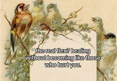 there are many birds sitting on the tree branch and one is saying,'the real flex healing without becoming like those who hurt you