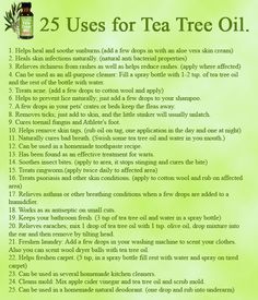 Tea Tree Oil Uses, Endocannabinoid System, Oil Remedies, Pagan Witch, Young Living Oils, Oil Benefits, Tea Tree Essential Oil, Oil Uses, Aromatherapy Oils