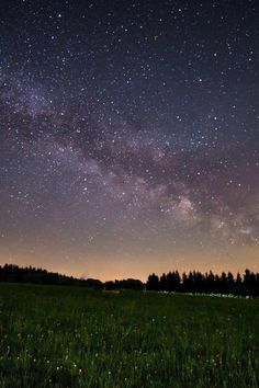 the night sky is filled with stars and green grass