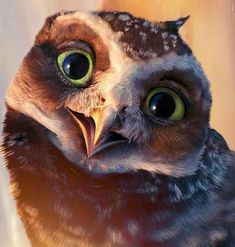 an owl with big green eyes looking at the camera