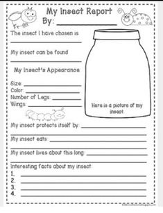 a worksheet with an image of a jar and the words, my insect report