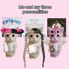 three cats wearing hats and braids with caption me and my three personalities