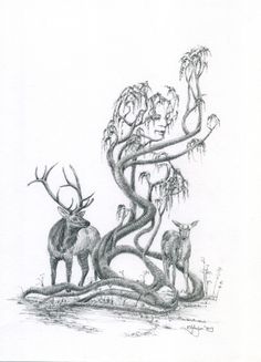 a pencil drawing of two deer standing next to a tree