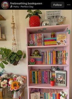 a pink book shelf filled with books next to a potted plant and other items