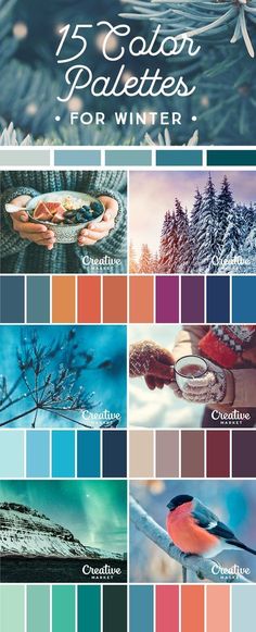 the color palettes for winter