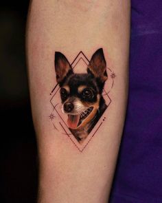 a small chihuahua dog tattoo on the left inner arm and upper half of the arm