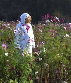 a person in a field full of flowers