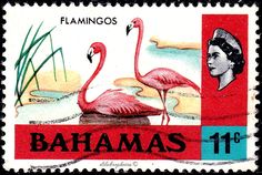 a stamp with two flamingos on it